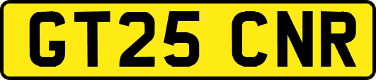 GT25CNR
