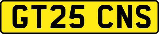 GT25CNS