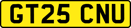GT25CNU