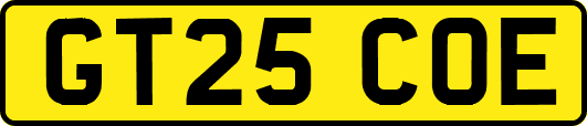 GT25COE