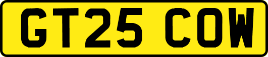 GT25COW
