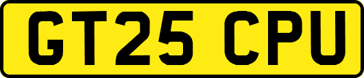 GT25CPU