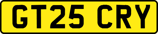 GT25CRY
