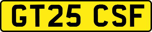GT25CSF
