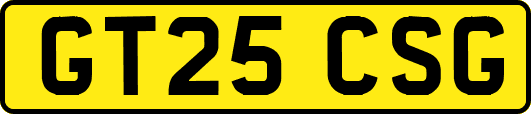 GT25CSG