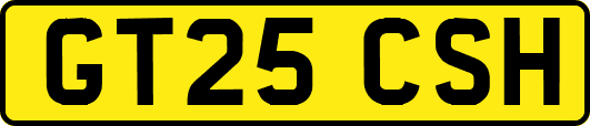 GT25CSH
