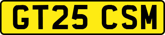 GT25CSM