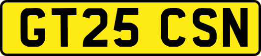GT25CSN