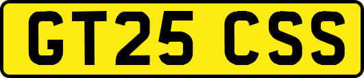 GT25CSS