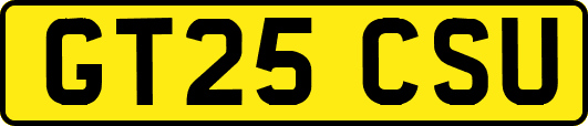 GT25CSU