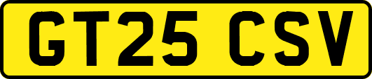 GT25CSV