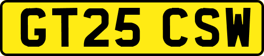 GT25CSW