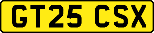 GT25CSX