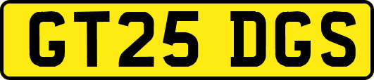 GT25DGS