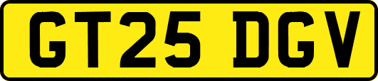 GT25DGV
