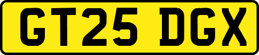 GT25DGX