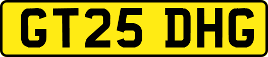 GT25DHG
