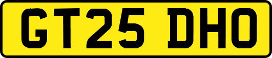 GT25DHO