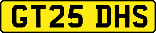 GT25DHS