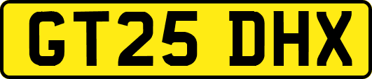 GT25DHX