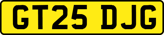GT25DJG