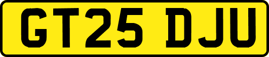 GT25DJU
