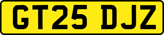 GT25DJZ