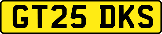 GT25DKS