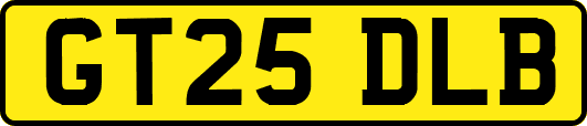 GT25DLB