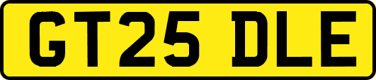 GT25DLE