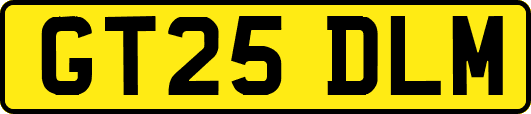GT25DLM