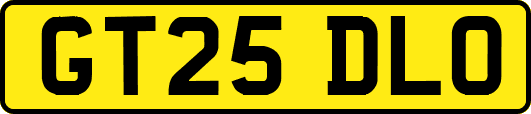 GT25DLO