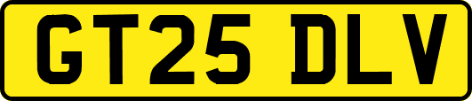 GT25DLV