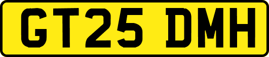 GT25DMH