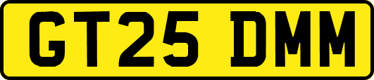 GT25DMM