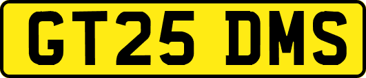 GT25DMS