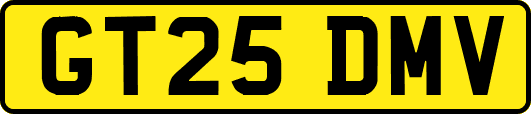 GT25DMV