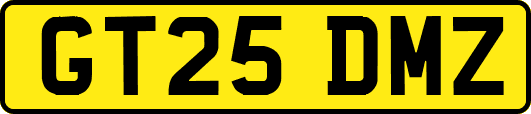 GT25DMZ
