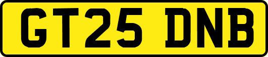 GT25DNB