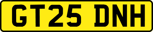 GT25DNH