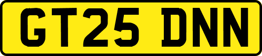 GT25DNN