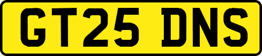 GT25DNS