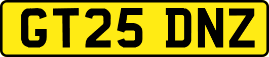 GT25DNZ