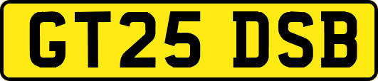 GT25DSB