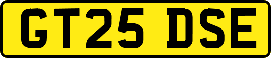 GT25DSE