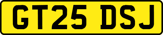 GT25DSJ