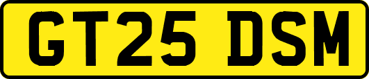 GT25DSM