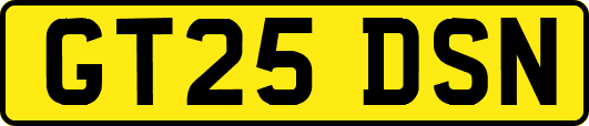 GT25DSN