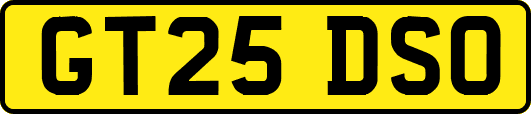GT25DSO