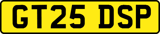 GT25DSP